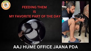 Day 6 | Aaj office jana pda | Bacche Shaitani se Baaj nhi aa rhe | DOGOFILL