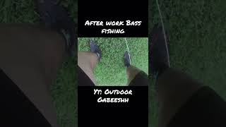 After work Bass Fishing! #fishing #googan #bass #bassfishing #fish #bait #bassfishing