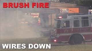 Brush Fire Sparked By Downed Powerline 7/6/24 Levittown, PA.