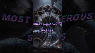 Top 10 Most Dangerous🐍 Snake In the World #shorts