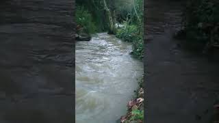 Relaxing by the river