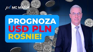 USD PLN rośnie i co to oznacza dla inwestorów?