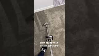 FREE Steam Cleaning Lessons