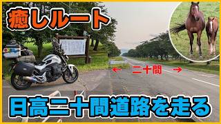 馬と触れ合う旅！二十間道路から優駿メモリアルパークをバイクで巡る