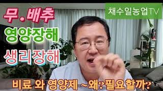 무 배추 및 농작물 영양장해 생리장해 증상 해결 대책~