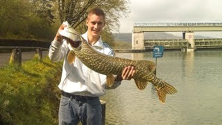 Monsterhecht auf Gummi am Rhein | Jan Klaeui