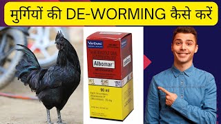 Day-01 मुर्गियों की DE-Worming कैसे करें| Desi Murgi Palan| Murgi ka baccha| @YogiBreedingFarm