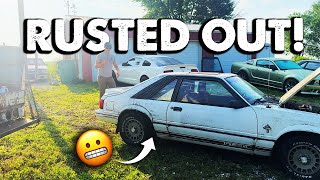 RUSTY GT350 Foxbody! Will it RUN and DRIVE after 20 years?