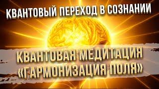 КВАНТОВАЯ МЕДИТАЦИЯ. Переход в счастливую реальность. Исполнение желаний. Гармонизация энергий.