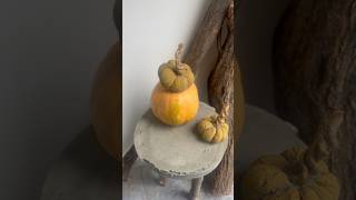 My first experience with handmade concrete pumpkins )