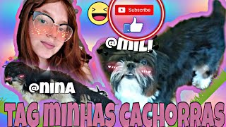 TAG MINHAS CACHORRAS | ANINHA GLIR