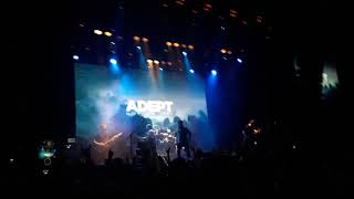 Adept - Ivory Tower [Live]