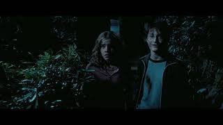 Harry Potter and the Prisoner of Azkaban - Werewolf Lupin