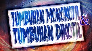 Tumbuhan Monokotil dan Dikotil