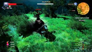 WITCHER 3 WALKTHROUGH GAMEPLAYPART 7: JENNY O THE WOODS 2