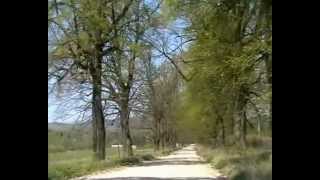 SFARSIT DE APRILIE IN BUCOVINA.flv