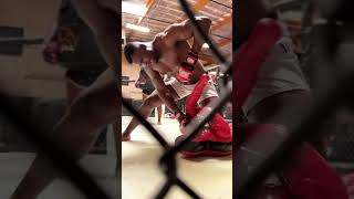 Francis Ngannou is working on the Ground and Pound.