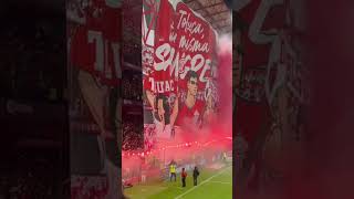 Toluca vs América otro gran Tifo en el Nemesio Díez #futbol #ligamx #tolucafc