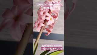 ГИАЦИНТЫ РУЧНОЙ РАБОТЫ из холодного фарфора 🌸 #холодныйфарфор #своимируками #рукоделие #подарок