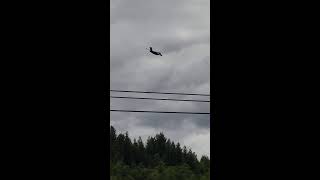 C-17 Flyover - Buckley, WA - 15 May 2020