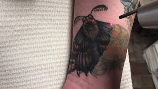 Moth tattoo on wrist lightening for coverup