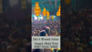 Sher E Masauli Sohna Status|Sayyed Abdul Wasi Qadri Sahab|#newstatus#shortvideo#sayyedabdulwasiqadri