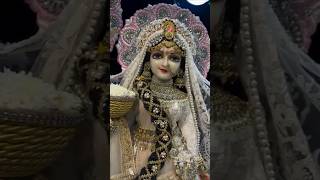 Jai Radhe Radhe Krishna l Krishna Bhakti Songs l Krishna Bhajan l #shorts l #youtubeshorts l