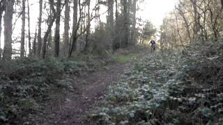 Biking in Aherlow Glen 4