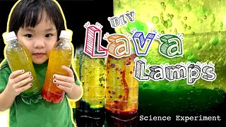 DIY Kids Science Experiment to do at home! Home Experiment Lava Lamp. Simple & Easy Material