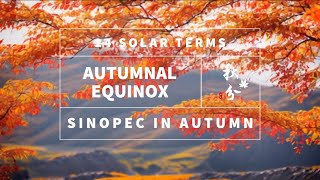 24 Solar Terms: Autumnal Equinox