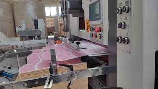 Paper Cup Fan Roll Die Cutting Machine working in Croatia