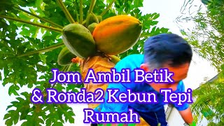 Home Garden & Evening Activities / Ambil Buah Betik / Jengok Kebun / Bermain Bola Sepak Dgn Momoi