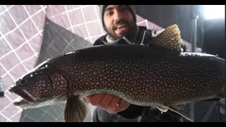 How to Catch LAKE TROUT-Ice Fishing Muskoka Lakes