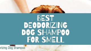 Best Deodorizing Dog Shampoo for Smell