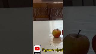 #shortvideo #смузи