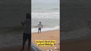 එන්න මුහුදේ කකුළුවො අල්ලන්න #shortvideo