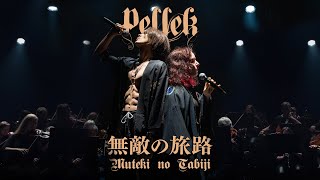 PelleK & Diana Garnet 「穢れた道への闘い」 Kegareta Michi e no Tatakai (Muteki no Tabiji)