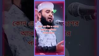 কোন একদিন এদেশের আকাশে কালেমার পতাকা উড়বে #shortsvideo #shortvideo #shorts #short