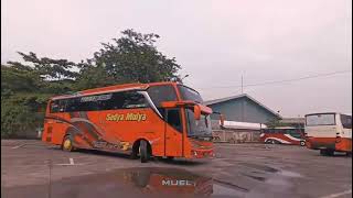 Story wa bus Sedya mulya