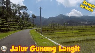 Jalur Gunung Langit || jalur persawahan yang indah di Kec. Kalibening Kab. Banjarnegara.