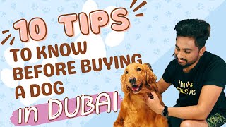 10 Must Know Tips before getting a Dog in Dubai