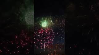 Biggest Firework Ever (1 shell) 🎆 #shorts #festivaloflights #fireworks #viral