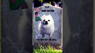 rip gabe the dog 1-3-2011-1-20-2017