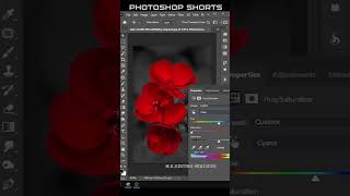 Color Splash Effect Photoshop Tutorial#shorts #trending