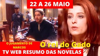 O rei do Gado Resumo do Capitulo de 22 A 26 de Maio