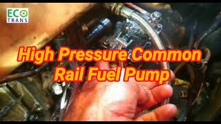 Service Cat320D C6.4 engine Common  Rail High Pressure Fuel Pump(Ecotrans) Sales@ecotrans.com.my