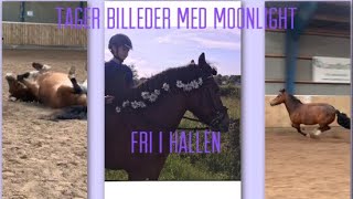 Tager billeder med Moonlight og lukker hende fri i hallen