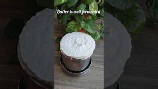 How to make Idli-dosa batter| perfect batter fermentation| Idli-Dosa Batter#Shorts#idlidosabatter