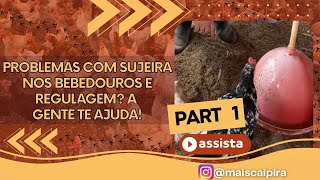 PROBLEMAS COM SUJEIRA NOS BEBEDOUROS E REGULAGEM? A GENTE TE AJUDA! part 1