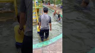 Kolam Renang Rogoselo